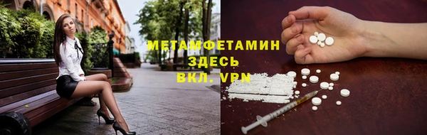 сатива Горняк