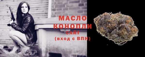 сатива Горняк