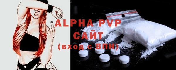 сатива Горняк