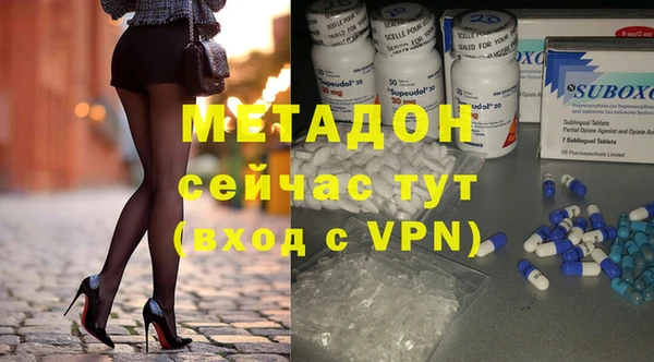 сатива Горняк