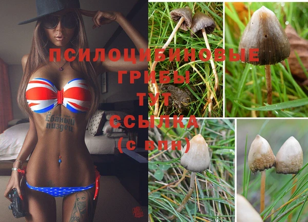ALPHA-PVP Дмитровск