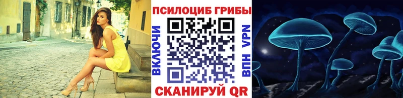 Псилоцибиновые грибы Magic Shrooms  Котельнич 