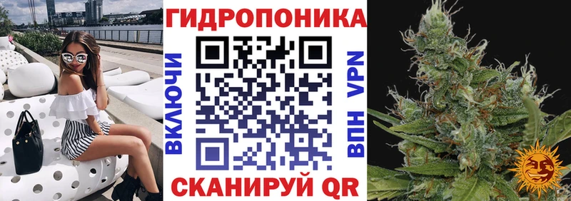 сколько стоит  Котельнич  Конопля Ganja 